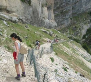 Contemplando las mejores vistas.jpg